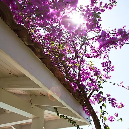 Gocek Hills Villa *